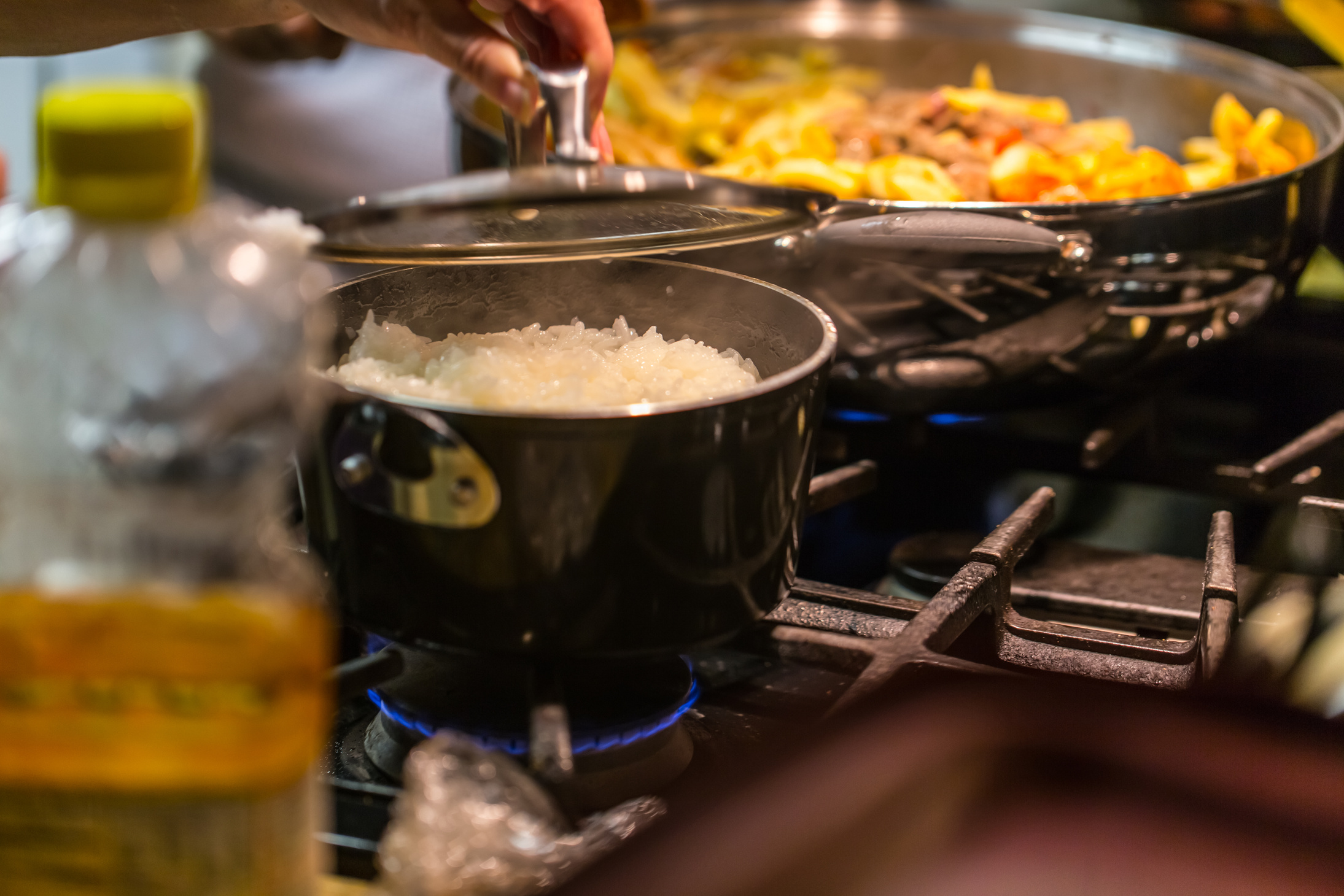 Fresh lomo saltado, a Peruvian cuisine